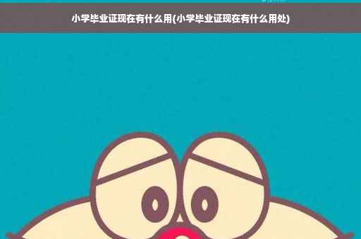 小学毕业证现在有什么用(小学毕业证现在有什么用处)