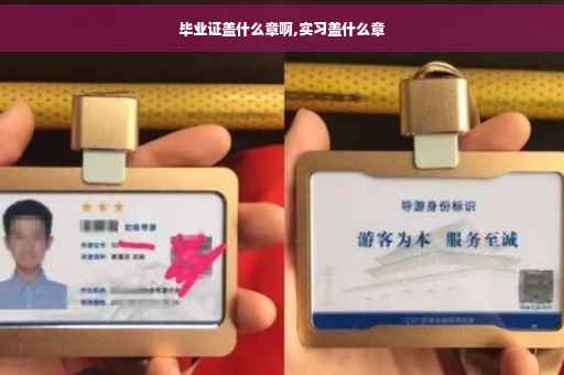 毕业证盖什么章啊,实习盖什么章