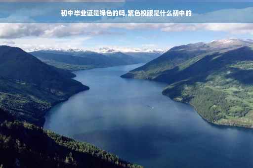 初中毕业证是绿色的吗,紫色校服是什么初中的