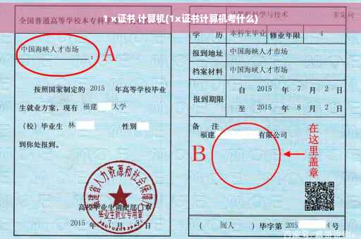 1 x证书 计算机(1x证书计算机考什么)