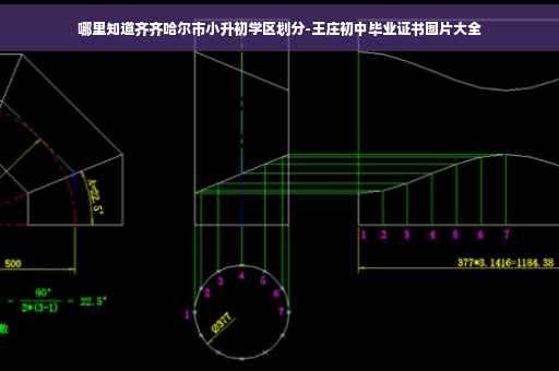 哪里知道齐齐哈尔市小升初学区划分-王庄初中毕业证书图片大全