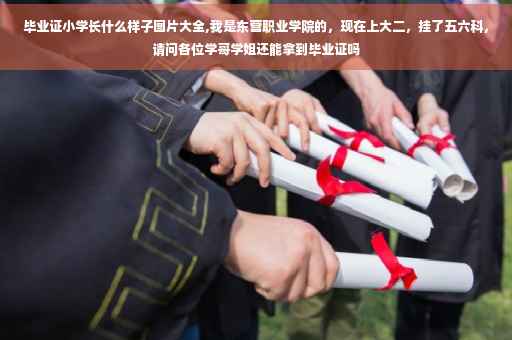 毕业证小学长什么样子图片大全,我是东营职业学院的，现在上大二，挂了五六科，请问各位学哥学姐还能拿到毕业证吗