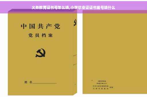 义务教育证书号怎么填,小学毕业证证书编号填什么