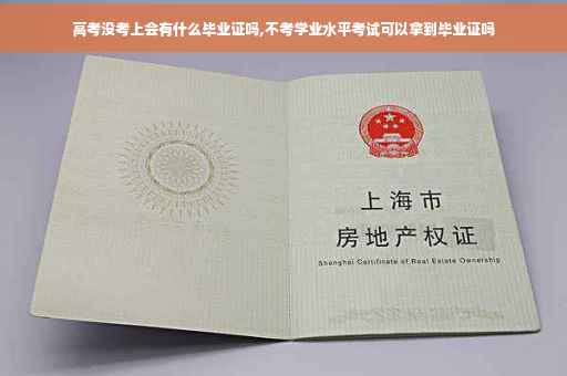 高考没考上会有什么毕业证吗,不考学业水平考试可以拿到毕业证吗