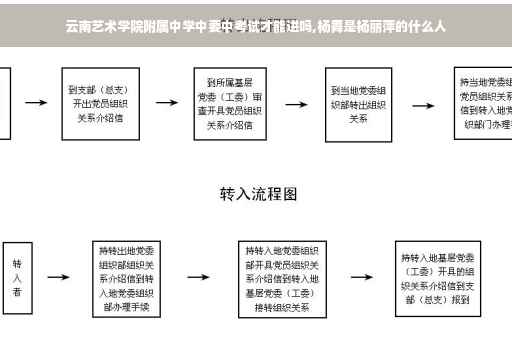 云南艺术学院附属中学中要中考试才能进吗,杨舞是杨丽萍的什么人