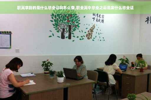 职高拿到的是什么毕业证啊怎么查,职业高中毕业之后是发什么毕业证