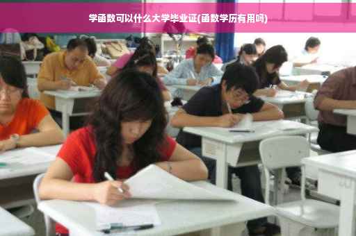 学函数可以什么大学毕业证(函数学历有用吗)