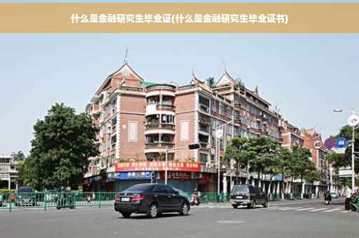 什么是金融研究生毕业证(什么是金融研究生毕业证书)