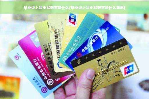 毕业证上写小写数字是什么(毕业证上写小写数字是什么意思)