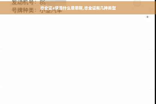毕业证a级是什么意思啊,毕业证有几种类型