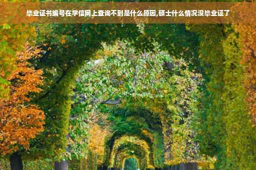 毕业证书编号在学信网上查询不到是什么原因,硕士什么情况没毕业证了