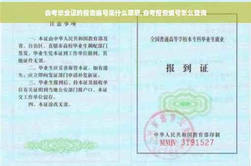 自考毕业证的报告编号是什么意思,自考报告编号怎么查询