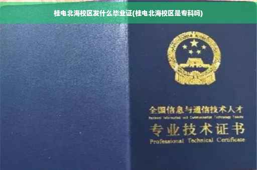 桂电北海校区发什么毕业证(桂电北海校区是专科吗)
