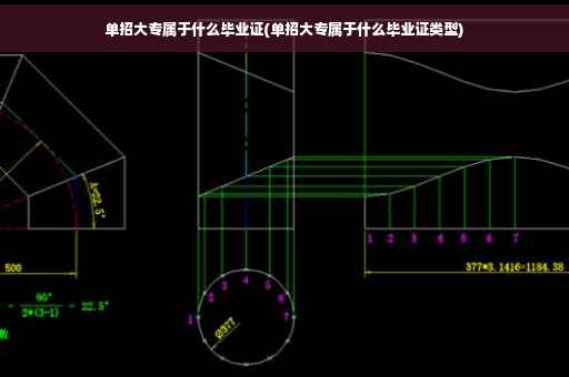 单招大专属于什么毕业证(单招大专属于什么毕业证类型)