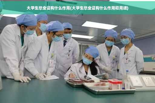 大学生毕业证有什么作用(大学生毕业证有什么作用和用途)