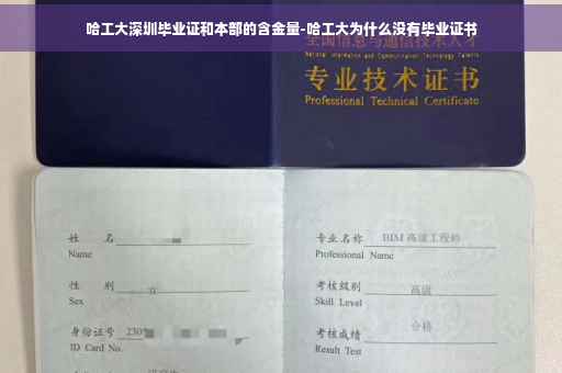 哈工大深圳毕业证和本部的含金量-哈工大为什么没有毕业证书