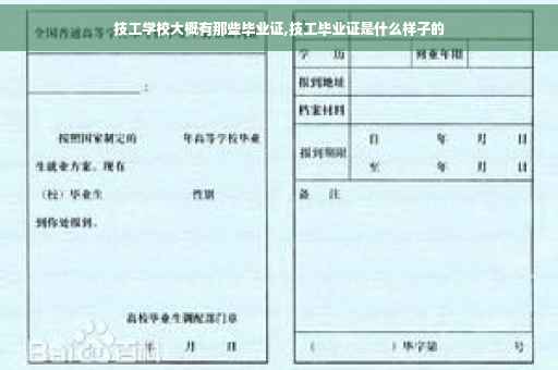 技工学校大概有那些毕业证,技工毕业证是什么样子的