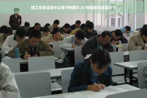 技工毕业证是什么样子的图片,87年技校毕业证尺寸