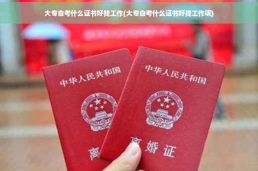 大专自考什么证书好找工作(大专自考什么证书好找工作呢)