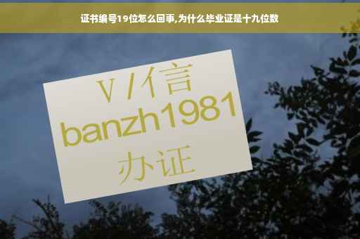 证书编号19位怎么回事,为什么毕业证是十九位数