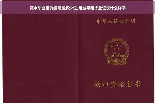 高中毕业证的编号是多少位,运城学院毕业证长什么样子