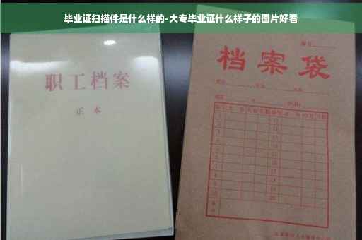 毕业证扫描件是什么样的-大专毕业证什么样子的图片好看