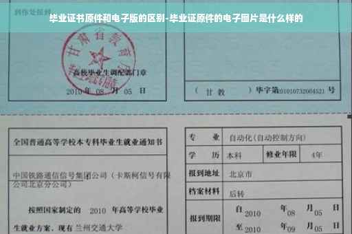 毕业证书原件和电子版的区别-毕业证原件的电子图片是什么样的