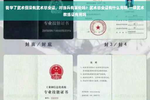 我学了武术但没有武术毕业证，对当兵有害处吗？武术毕业证有什么用啊,一级武术教练证有用吗