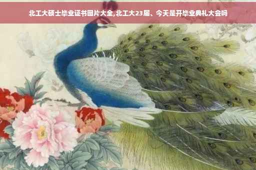 北工大硕士毕业证书图片大全,北工大23届、今天是开毕业典礼大会吗