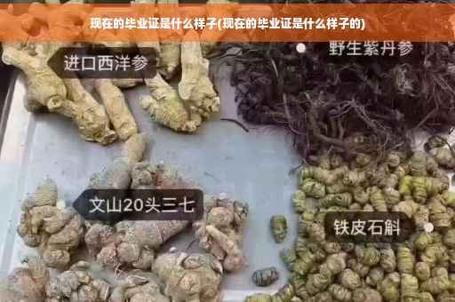 现在的毕业证是什么样子(现在的毕业证是什么样子的)