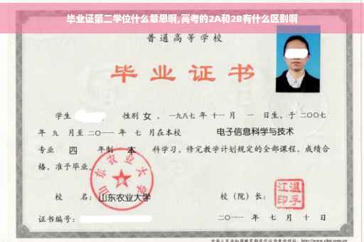毕业证第二学位什么意思啊,高考的2A和2B有什么区别啊