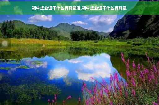 初中毕业证干什么有前途呢,初中毕业证干什么有前途