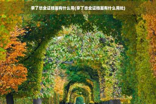 拿了毕业证档案有什么用(拿了毕业证档案有什么用处)