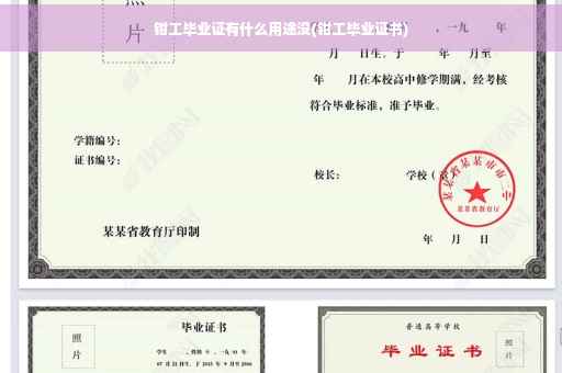 钳工毕业证有什么用途没(钳工毕业证书)