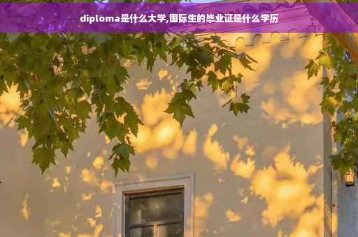 diploma是什么大学,国际生的毕业证是什么学历