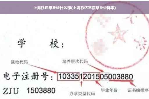 上海杉达毕业证什么样(上海杉达学院毕业证样本)