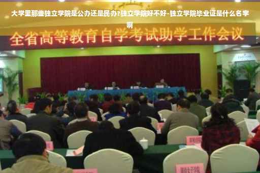 大学里那些独立学院是公办还是民办?独立学院好不好-独立学院毕业证是什么名字啊