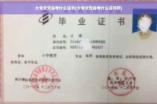 大专文凭自考什么证书(大专文凭自考什么证书好)