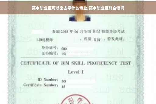 高中毕业证可以出去学什么专业,高中毕业证能自修吗