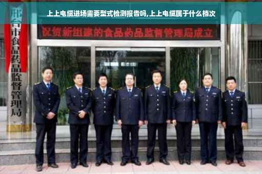 上上电缆进场需要型式检测报告吗,上上电缆属于什么档次