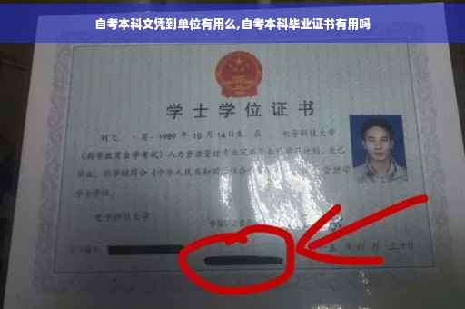 自考本科文凭到单位有用么,自考本科毕业证书有用吗