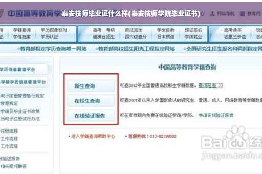 泰安技师毕业证什么样(泰安技师学院毕业证书)