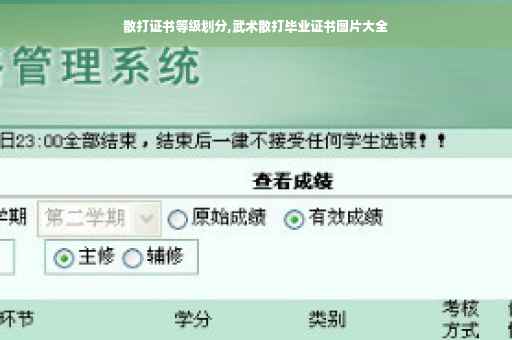 散打证书等级划分,武术散打毕业证书图片大全