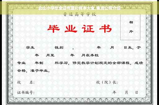 北山小学毕业证书图片样本大全,集库公司介绍