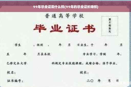 99年毕业证是什么样(99年的毕业证长啥样)