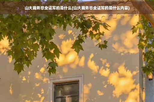 山大商务毕业证写的是什么(山大商务毕业证写的是什么内容)