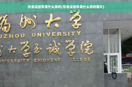 毕业证纸张是什么样的(毕业证纸张是什么样的图片)