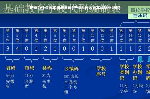 护理为什么要本科毕业证(护理为什么要本科毕业证呢)