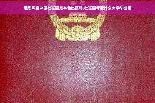理想照耀中国杜富国是本色出演吗,杜富国考取什么大学毕业证