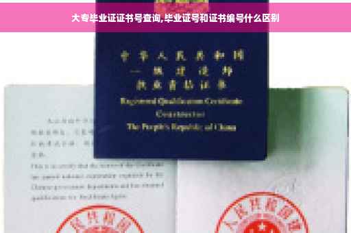 大专毕业证证书号查询,毕业证号和证书编号什么区别